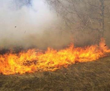 Protección Civil Guaymas se prepara ante temporada de incendios forestales