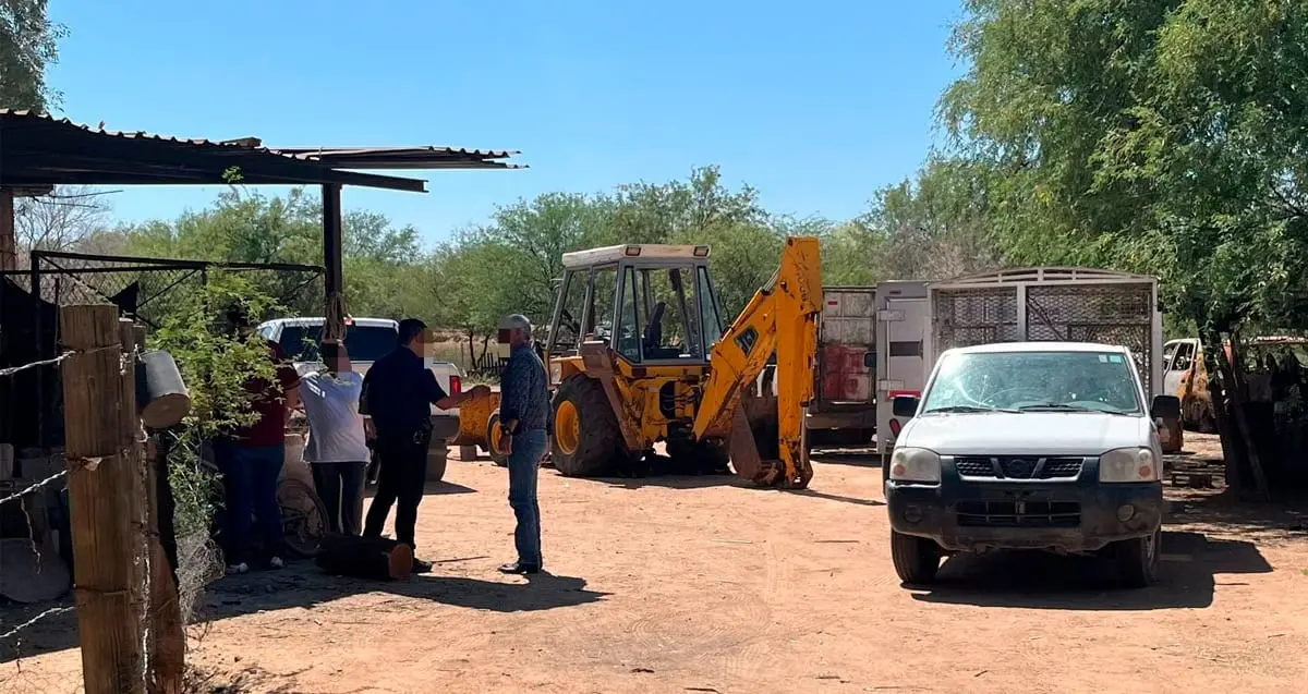 Hallan animales muertos y lesionados en predio de colonia La Manga