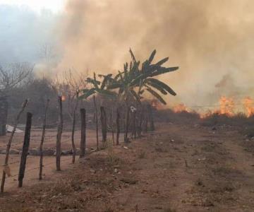 Suman 9 incendios forestales activos en municipios de Sinaloa