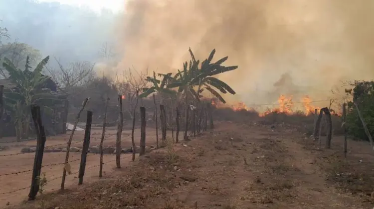 Foto: Especial / EXPRESO.