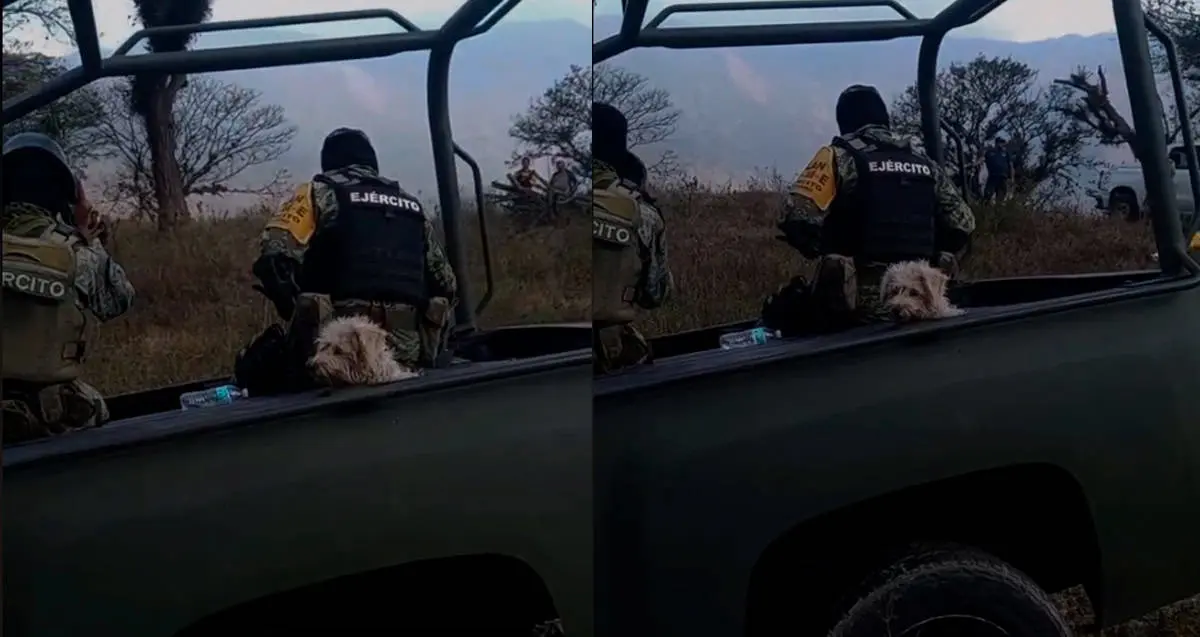 Sedena rescata a perro de incendio y es adoptado por militares