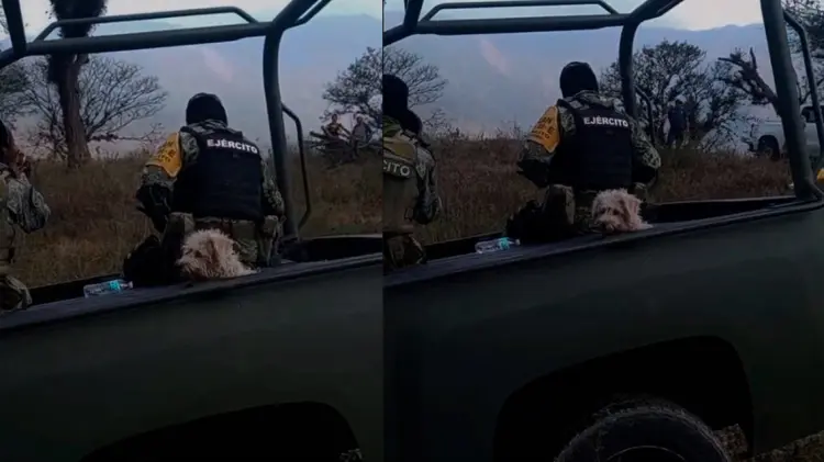 El video de 28 segundos ha conmovido a los espectadores. (Foto: Captura de video)