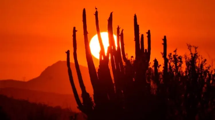 La última semana de mayo llegarán las temperaturas más altas del mes. (Especial / EXPRESO)