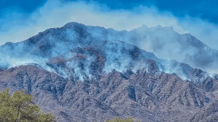 Conafor ha implementado acciones para proteger la Sierra de Álamos-Río Cuchujaqui. (Foto: Especial)
