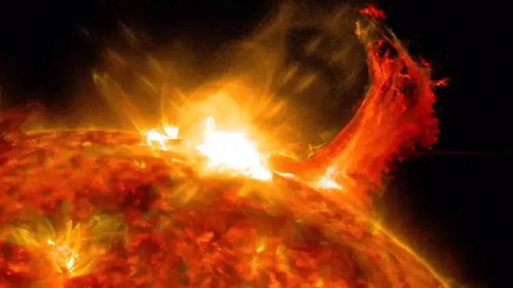 Foto: Especial / EXPRESO.