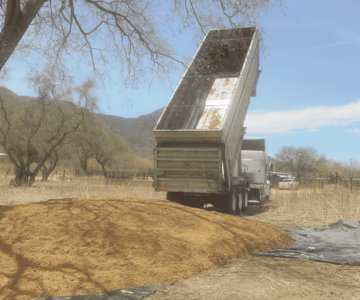 Entregan alimento a ganaderos en Álamos y comunidad guarijíos