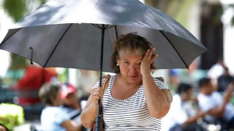 Foto: Especial / EXPRESO.