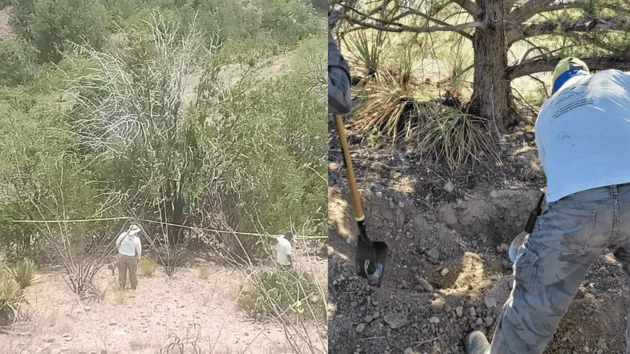 Colectivo de búsqueda localiza tres fosas clandestinas