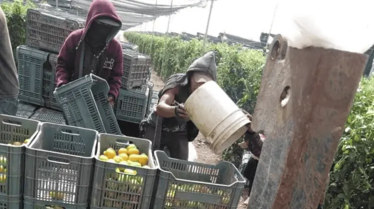 Se registra la menor cantidad de empleos en el rubro desde 2021. (Especial/EXPRESO)