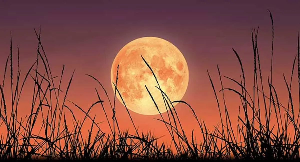 Estos son los fenómenos astronómicos que ocurrirán en septiembre