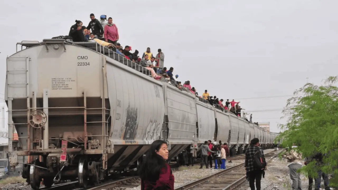 INM ha rescatado a más de 104 mil personas migrantes en el 2024