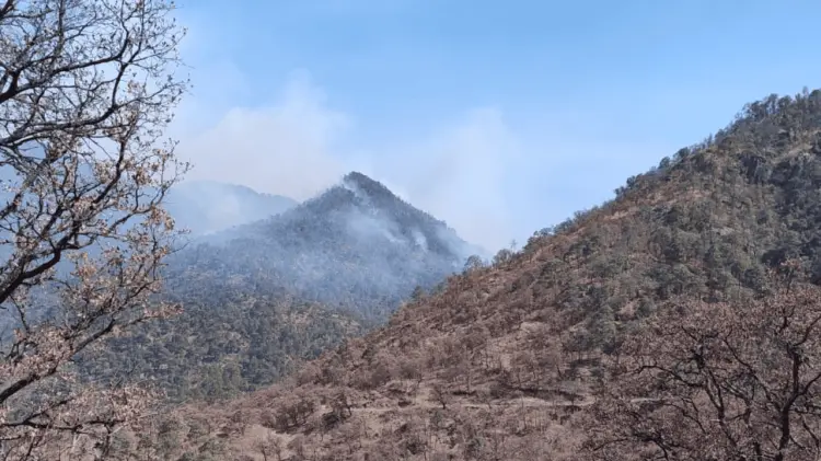 Incendio en El Palmarito fue controlado, tratando de proteger los recursos naturales. (Cortesía)