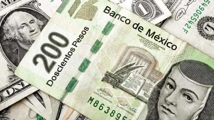 Foto: Especial / EXPRESO.