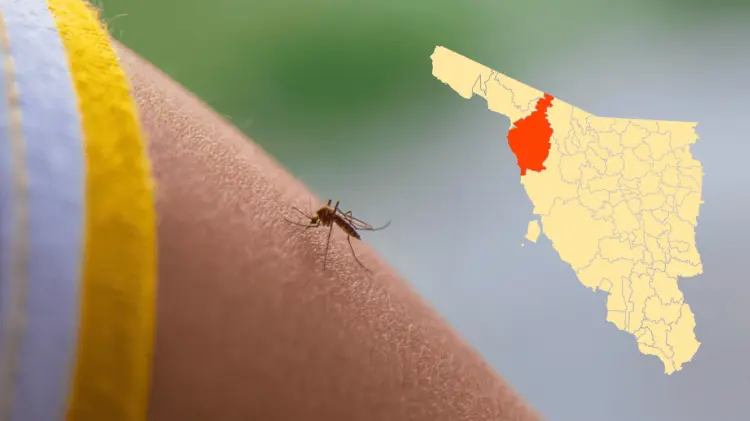 En las últimas dos semanas, Caborca ha sumado 8 casos de dengue. (Foto: Ilustrativa/EXPRESO)