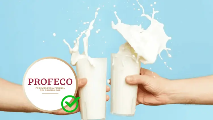 La leche de vaca ha sido un alimento esencial para la humanidad. (Foto: Especial / EXPRESO)