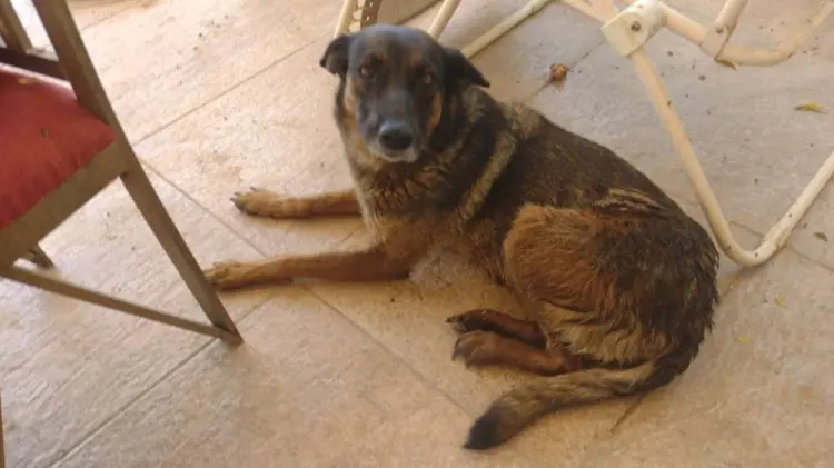 Foto: Especial / EXPRESO.