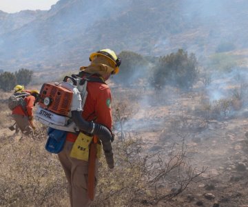 Al menos 105 brigadistas liquidan incendios forestales en Agua Prieta