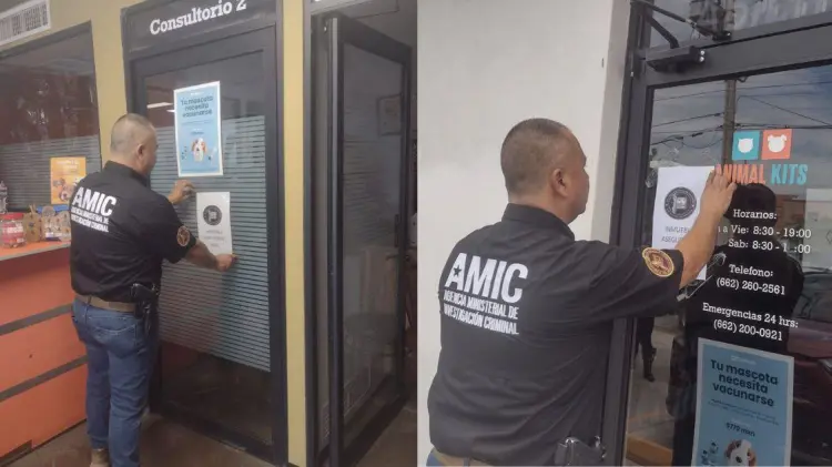 El aseguramiento se realizó para proceder con la investigación de forma óptima. (Foto: FGJE Sonora)