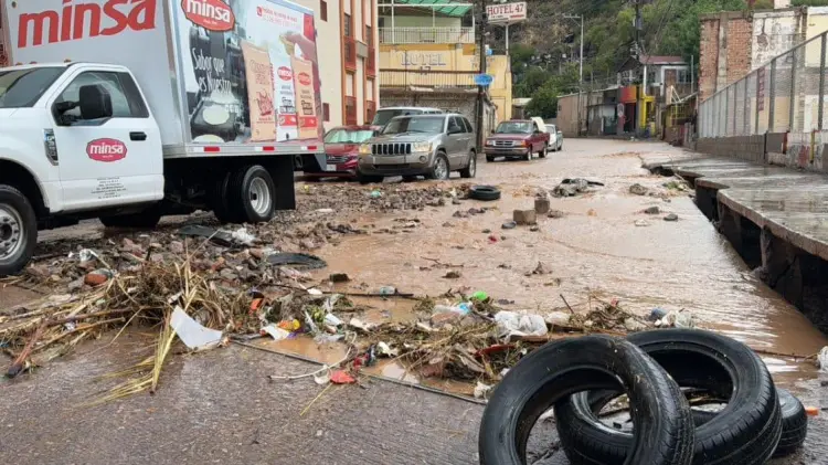Bardas, anuncios y árboles caídos fueron algunas de las afectaciones tras la lluvia. (Foto: Especial)