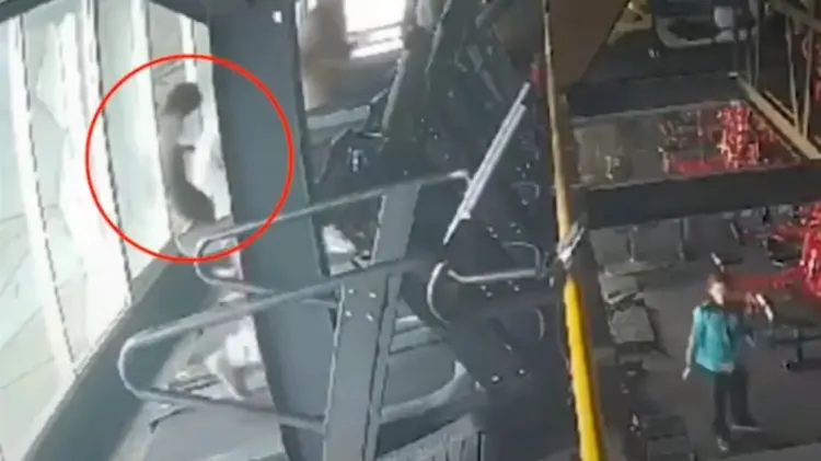 Los hechos fueron captados en video por una cámara de seguridad. (Foto: Captura de video)