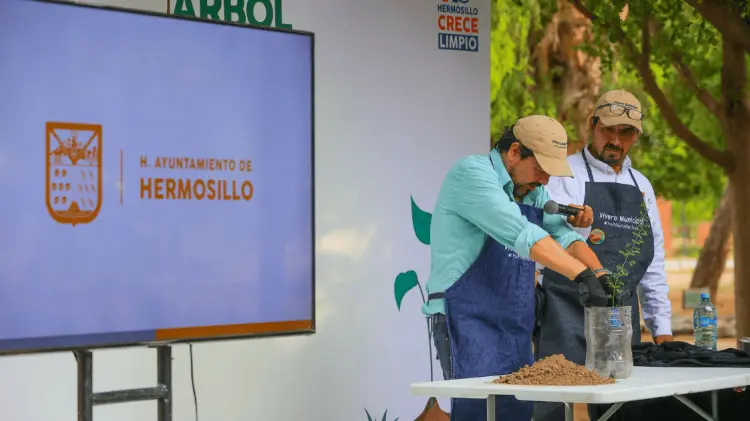 Los interesados pudieron conocer más del cuidado de árboles. (Foto: Cristian Ruiz/EXPRESO)