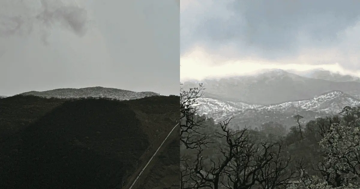 Sierra de Sahuaripa se pinta de blanco en pleno verano tras granizada