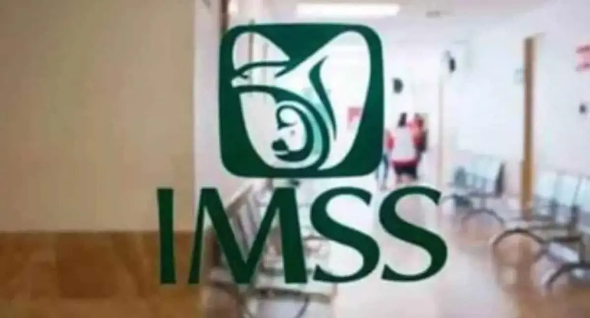 Pasos para que trabajadores independientes puedan afiliarse al IMSS