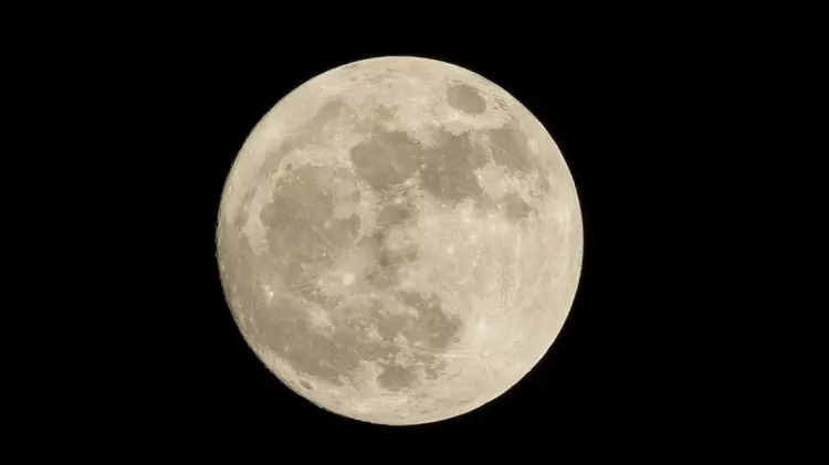 Foto: Especial / EXPRESO.