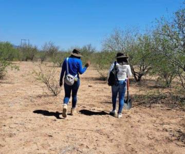 Guerreras Buscadoras encuentran restos humanos en ejido de Empalme