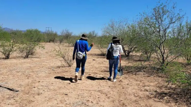 Guerreras Buscadoras realizaron una jornada de búsqueda en el Valle de Empalme. (Foto: Especial)