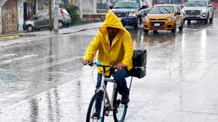 Foto: Especial / EXPRESO.