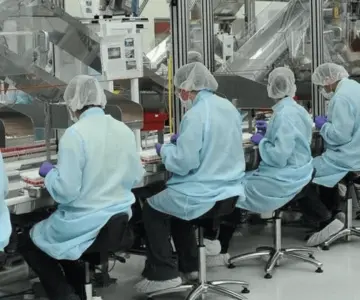 Crecimiento económico de Sonora se refleja en alza de empleos: especialista