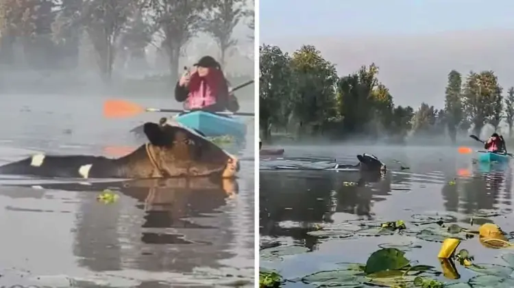 Foto: Especial / EXPRESO.