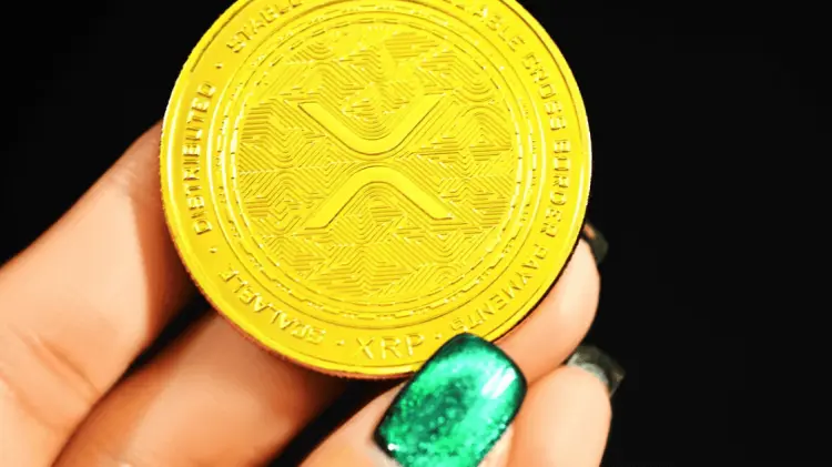 Imagen: Especial / EXPRESO.