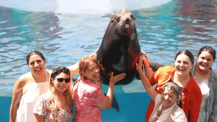 Un promedio de 300 terapias al año se realizan en el Delfinario. (Archivo/EXPRESO)
