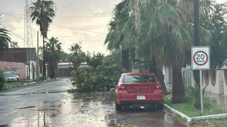 Las precipitaciones ocasionaron severos daños en viviendas y calles del municipio. (Foto: Especial)