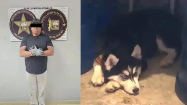 Gabriel Gerardo N fue acusado del delito de crueldad animal. (Fotos: FGJE Sonora)