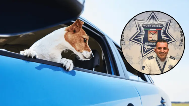 Ovier Quintero, vocero de Tránsito en Hermosillo explicó los motivos. (Foto: Especial/EXPRESO)