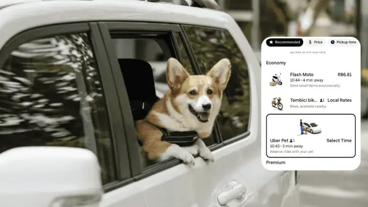 Uber Pet te permitirá viajar a tu destino acompañado de mascota. (Foto: Cortesía)