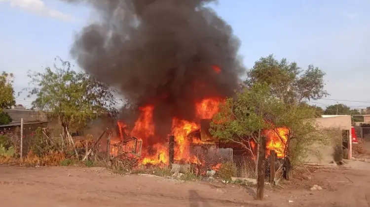 Foto: Especial / EXPRESO.