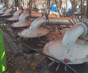 Desmantelan narcolaboratorio ´multimillonario´ de metanfetamina en Sudáfrica