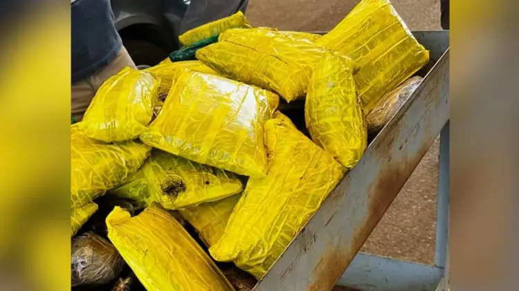 Se incautaron un total de 73 paquetes con narcóticos. (Foto: Cortesía)