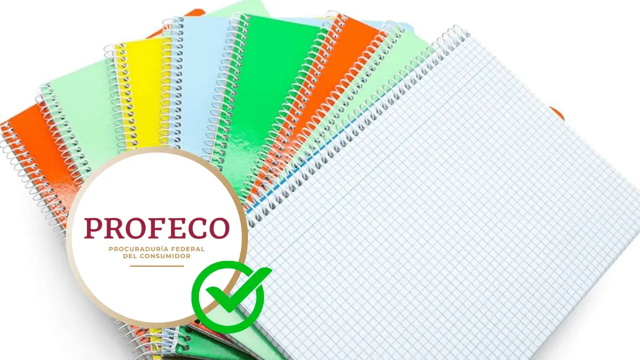 Estos son los mejores cuadernos y libretas en el mercado, según Profeco