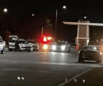 Hombres armados roban dos cajas fuertes en domicilio de Los Lagos
