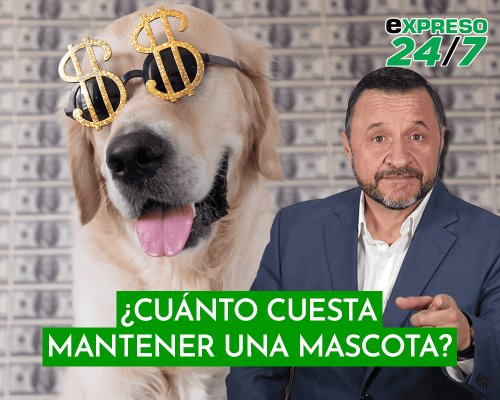 ¿Cuánto cuesta mantener una mascota?