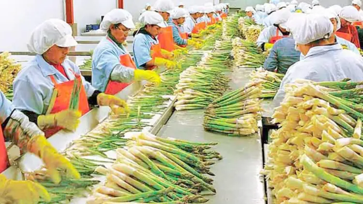 Sonora es la novena entidad con mayor participación en comercio internacional con EU. (Foto: Especial)