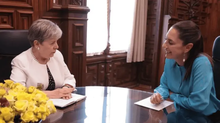 Bárcena informó sobre el protocolo diplomático a seguir. (Especial / EXPRESO)