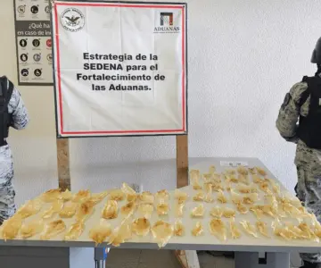 Aseguran 75 buches de totoaba en Sonoyta