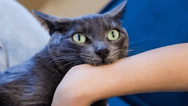 La población más vulnerable se ubica en zonas rurales. (Especial / EXPRESO)