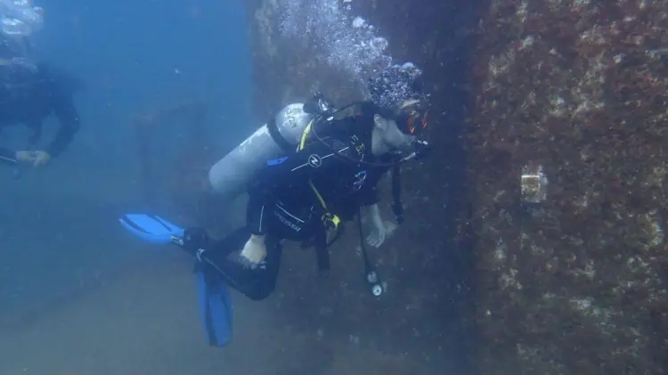 San Carlos se posiciona como el nuevo paraíso para buzos nacionales e internacionales. (Foto: Cortesía)